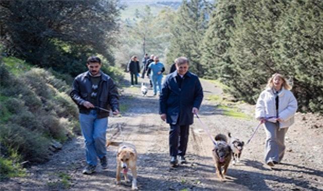 İzmir’in Sahipsiz Dostlarına Umut Dolu Gün: Barınaklardan Yuva ve Yeni Hayatların Kapısını Aralayan Büyükşehir