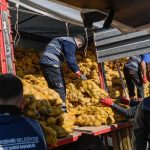 İzmir’in Sosyal Belediye Hizmeti: 300 Ton Patateste Dayanışma ve Üretici-Toplum Bütünleşmesi