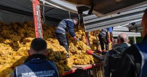 İzmir’in Sosyal Belediye Hizmeti: 300 Ton Patateste Dayanışma ve Üretici-Toplum Bütünleşmesi