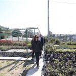 Karşıyaka’nın Yeşil Dalgası: Üreten Belediyesiyle Şehri Sütun Gibi Büyüten Seramızdan Geriye Duruşlu Bir Başarı Hikâyesi