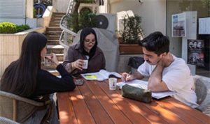 Kitapların Işığı: Şehrin Kalbinde Umudu Aydınlatan Kütüphaneler Yolculuğu