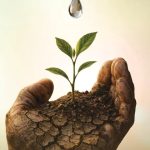 Köylerden Sahneye: İzmir Köy Tiyatroları Festivali 4. Kez Kültürel Buluşma