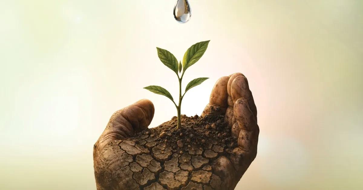 Köylerden Sahneye: İzmir Köy Tiyatroları Festivali 4. Kez Kültürel Buluşma