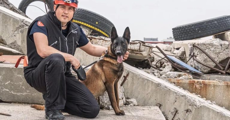 Kurtarma İçin Umutla Görevde: Momo’nun Uzun Yolculuğu