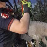 Kuyuya Düşen Kuzuyu İtfaiye Ekipleri Kurtardı: Azim ve İtfaiye Profesyonelliğiyle Anneden Oğlağa Sevgi Dolu Teslimat