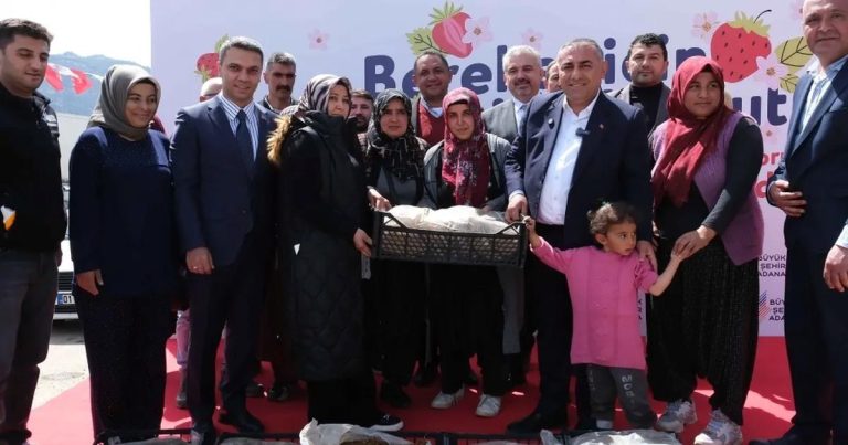 Pozantı’da 4 Milyon Çilek Fidesi Desteğiyle Çiftçiye Moral ve Hızla İşleyen Projeler