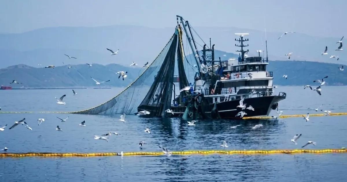 Sok Sürücü Uyarısı: Akıllı Balıkçılık İçin Yeni Deniz Yasağı ve Sürdürülebilirlik İçin Net Adımlar