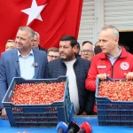 Türkiye’nin Kiraz Zaferi: Yüzlerce Kilometrelik Hasat Yolculuğu ve 200 Milyon Dolarlık Hayal