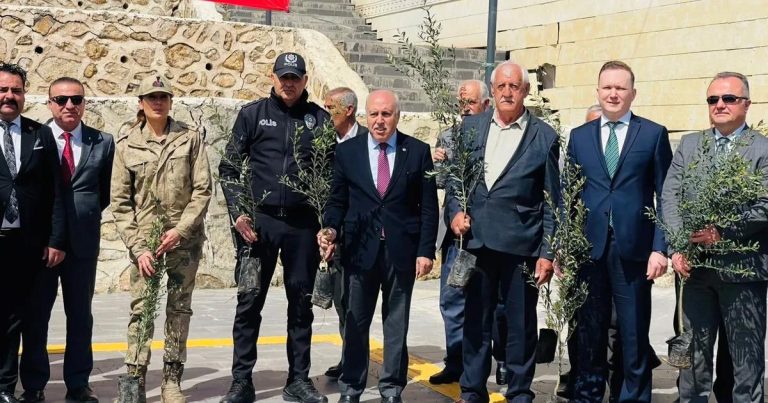 Yeşilli’de Yeni Bir Yeşil Vizyon: 52 Ve 50 Bin Fidanla Dağıtım Başladı, Kiraz Festivali İçin Doğaya Yolculuk Başladı