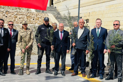 Yeşilli’de Yeni Bir Yeşil Vizyon: 52 Ve 50 Bin Fidanla Dağıtım Başladı, Kiraz Festivali İçin Doğaya Yolculuk Başladı