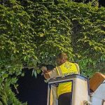 Aydın’da Gece Gündüz Çalışan Ekipler: Hizmette Sınır Tanımayan Belediyecilikle Şehrin Nabzı Her An Atıyor