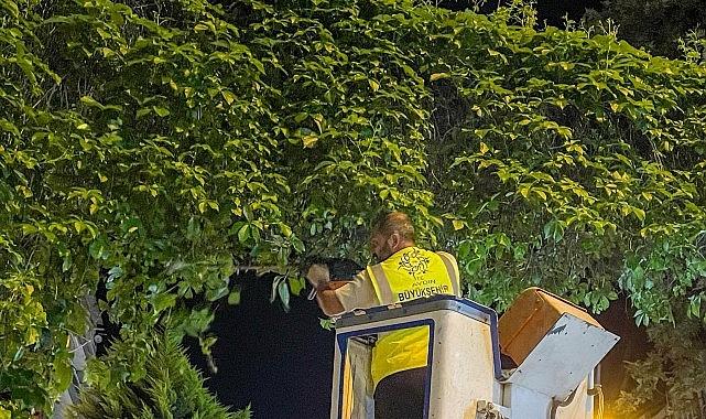 Aydın’da Gece Gündüz Çalışan Ekipler: Hizmette Sınır Tanımayan Belediyecilikle Şehrin Nabzı Her An Atıyor
