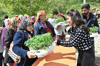 Bornova’da Yazlık Fidesiyle Kırsala Destenin Yeni Adı: Üretim ve Maliyet Kolaylığı Buluşması