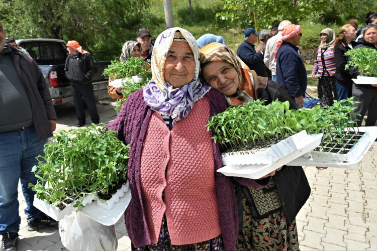 Bornova’da Yazlık Fidesiyle Kırsala Destenin Yeni Adı: Üretim ve Maliyet Kolaylığı Buluşması