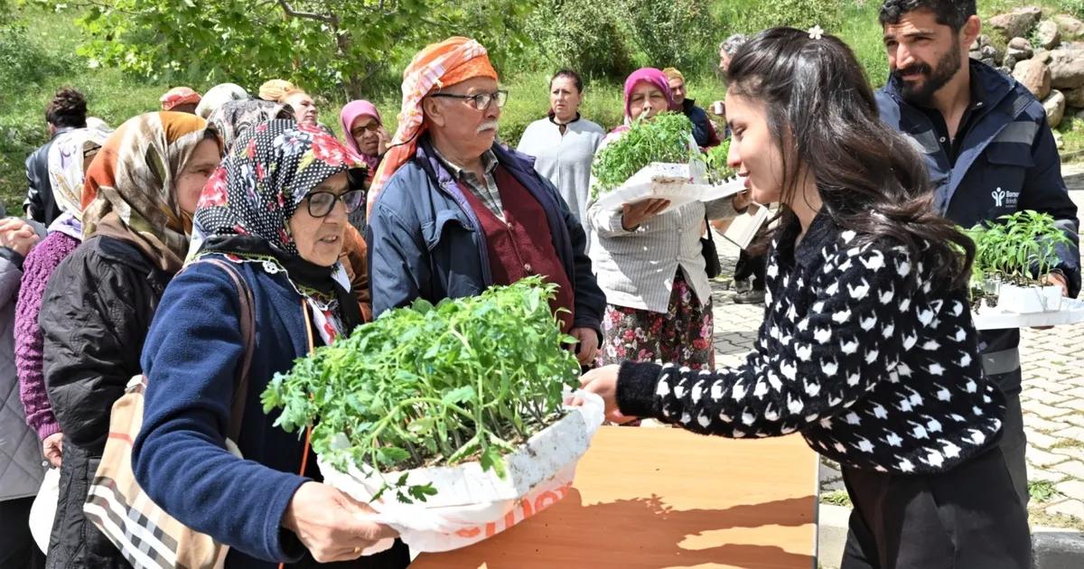 Bornova’da Yazlık Fidesiyle Kırsala Destenin Yeni Adı: Üretim ve Maliyet Kolaylığı Buluşması
