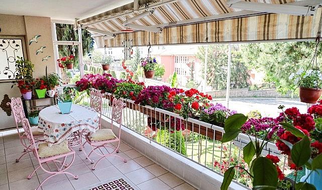 Çiçek Festivali: Şehrin Ruhu Bahara Uyanırken Balkonlardan Ödüller Yeşeriyor