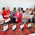 Çileğin Ritmiyle Büyüyen Şehrin Coşkusu: Emiralem’in Uluslararası Festival Yolculuğu