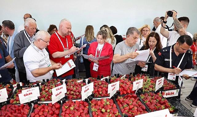 Çileğin Ritmiyle Büyüyen Şehrin Coşkusu: Emiralem’in Uluslararası Festival Yolculuğu