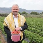 Çilek Rüyasının Uluslararası Işığı: Emiralem Festivaliyle Büyüyen Lezzet ve Müzik Yolculuğu