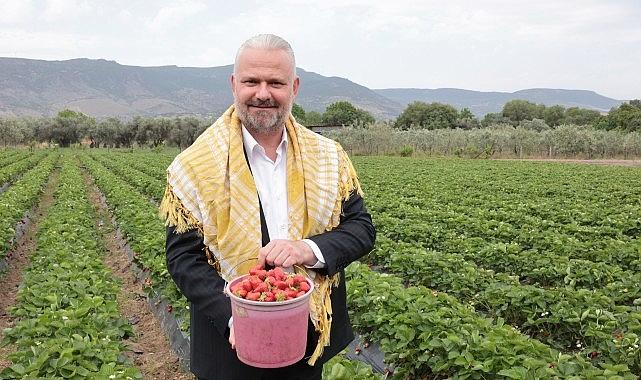 Çilek Rüyasının Uluslararası Işığı: Emiralem Festivaliyle Büyüyen Lezzet ve Müzik Yolculuğu