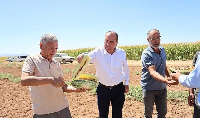 Çumra’nın Atalık Sarı İçli Karpuzu: Buz Karpuzundan Tatar Karpuzuna Uzanan Tarih ve Geleceğe Yolculuk