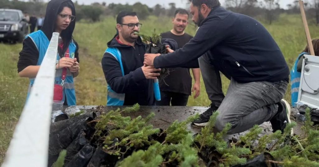 İzmir’de Yeşilin Zaferi: Aliağa’daki Yangından Etkilenen Arazide Yeni Hayatlar Ağaçlandırılıyor