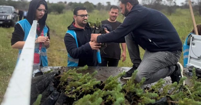 İzmir’de Yeşilin Zaferi: Aliağa’daki Yangından Etkilenen Arazide Yeni Hayatlar Ağaçlandırılıyor