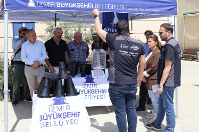 İzmir’de Zirai Zafer: Kahverengi Kokarca Böceğine Karşı Feromon Tuzağıyla Başlatılan Büyük Mücadele ve Geleceğin Sürdürülebilir Üretimi