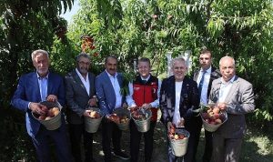 İzmir’in Bereketli Sezonu: Şeftali ve Nektarin İhracatı 2026’da Tarihi Rekorla Zirveye Taşınıyor