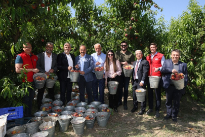 İzmir’in Şeftali ve Nektarin Çağı: Rekorlar, Umutlar ve Yeni Hedefler
