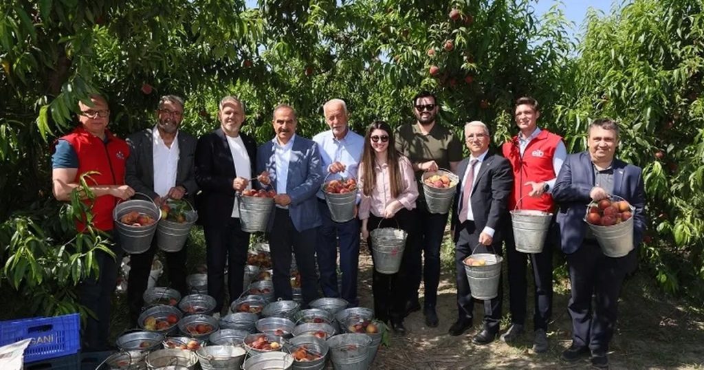 İzmir’in Şeftali ve Nektarin Çağı: Rekorlar, Umutlar ve Yeni Hedefler