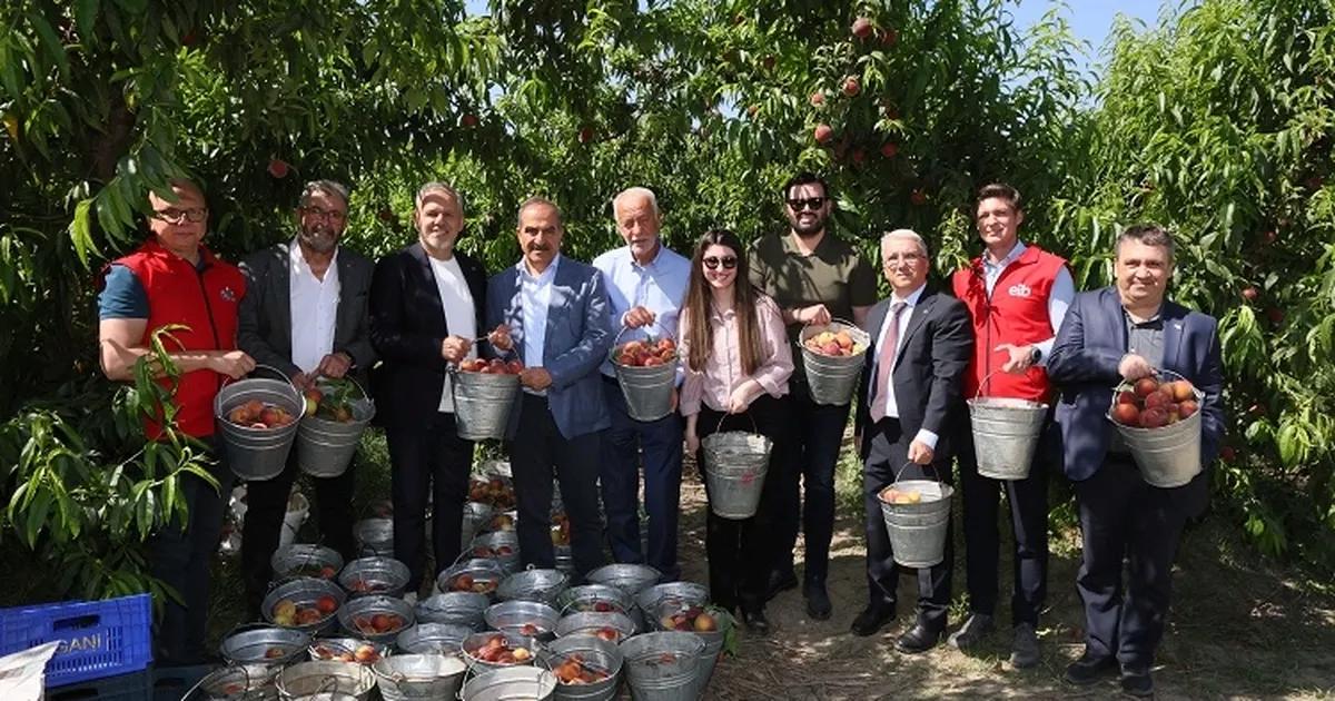 İzmir’in Şeftali ve Nektarin Çağı: Rekorlar, Umutlar ve Yeni Hedefler