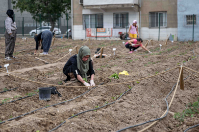 Kentin Kadınlarına Dayanışma Dolu Hasat: Uluslararası Konuklar ve Ekolojik Kent Bostanlarıyla Türkiye’yi Buluşturdu
