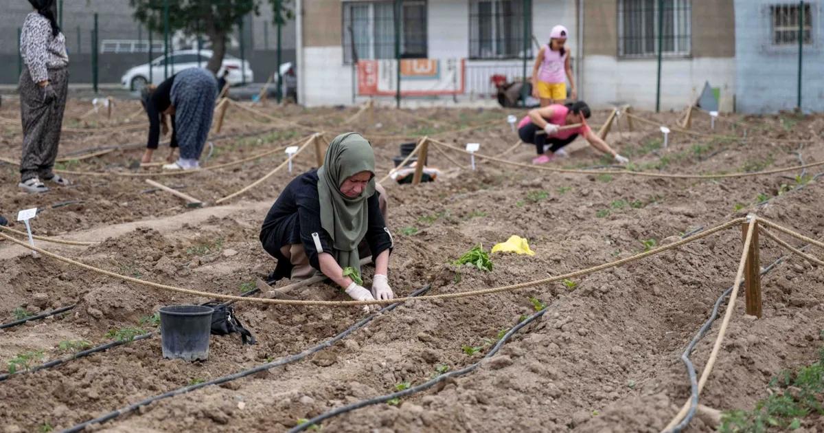 Kentin Kadınlarına Dayanışma Dolu Hasat: Uluslararası Konuklar ve Ekolojik Kent Bostanlarıyla Türkiye’yi Buluşturdu