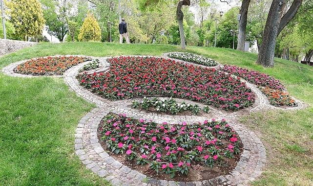 Konya’da Renklerin Şehri: 1.8 Milyon Çiçekle Meydanlar ve Parklar Canlanıyor