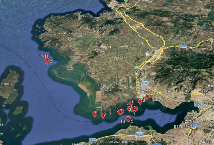 Körfezde Deniz Marulu Afeti: 7 Amfibiğin Seferberliğiyle İzmir’in Su Altı Mücadelesi Sürüyor