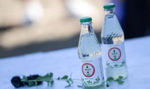 Köy Kadınları, Stevia Gazozunu Taçlandırdı: İzmir’in Kooperatifi Kurutma Makinesiyle Değerini Katladı