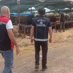 Kurban Bayramı Denetimleri Şeffaf ve Değişim Odaklı: Hijyen, Güvenlik ve Toplumsal Huzur İçin Sahada Eller Sıkı