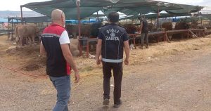 Kurban Bayramı Denetimleri Şeffaf ve Değişim Odaklı: Hijyen, Güvenlik ve Toplumsal Huzur İçin Sahada Eller Sıkı