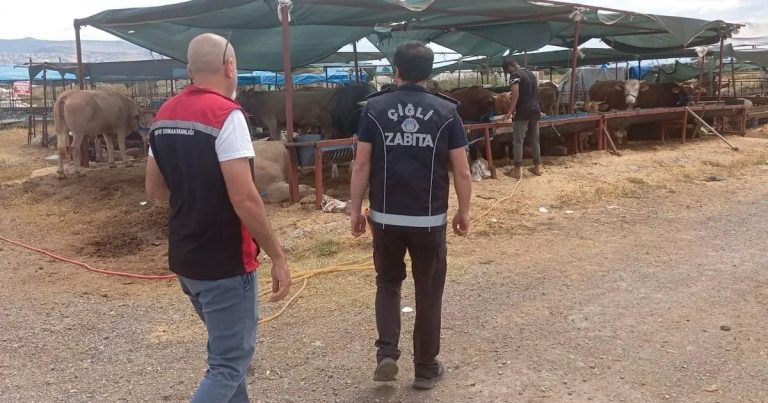 Kurban Bayramı Denetimleri Şeffaf ve Değişim Odaklı: Hijyen, Güvenlik ve Toplumsal Huzur İçin Sahada Eller Sıkı