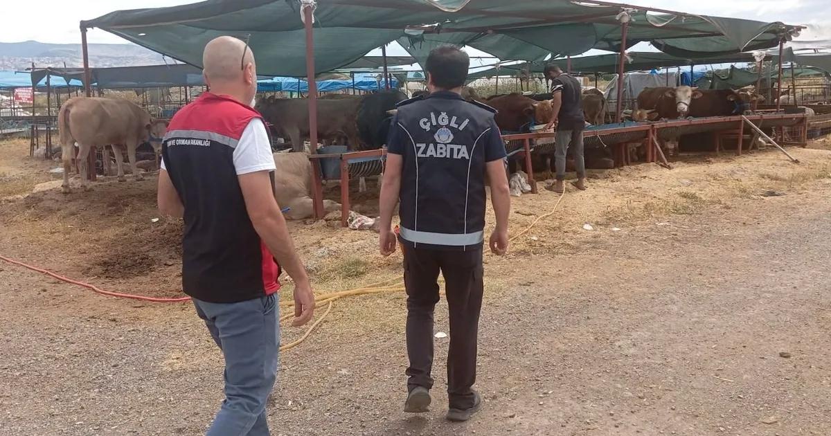 Kurban Bayramı Denetimleri Şeffaf ve Değişim Odaklı: Hijyen, Güvenlik ve Toplumsal Huzur İçin Sahada Eller Sıkı
