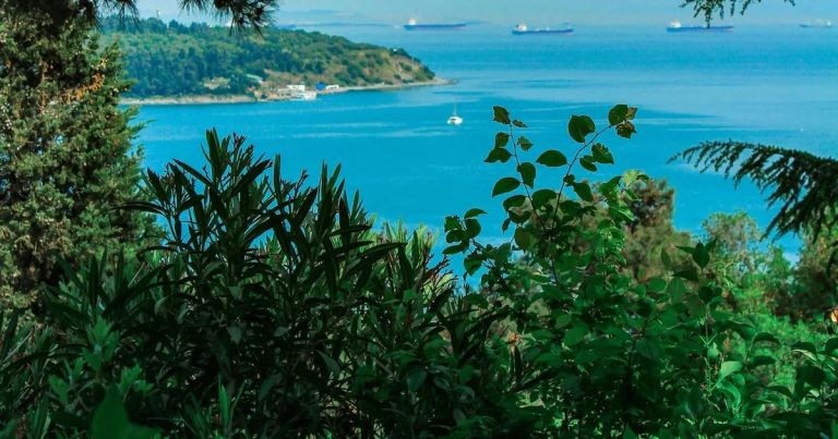 Şehirlerin Renkleriyle Dijital Hikâye: İstanbul Mavisi, Bursa Yeşili ve Ankara Grisi İnteraktif Akımın Öne Çıkan Sesleri