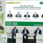 Topraktan Markaya Yolculuk: Zeytin, Zeytinyağı ve Genç Girişimcilerin İzmir’deki Dönüşüm Hikayesi