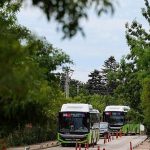 Bir Yaz Başlangıcı: Kandıra Sahillerine 800CK Konforlu Yolculukla Ulaşım Devrimi