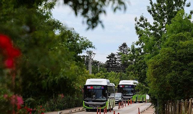 Bir Yaz Başlangıcı: Kandıra Sahillerine 800CK Konforlu Yolculukla Ulaşım Devrimi