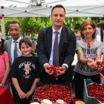 Bornova Kiraz Festivali Coşkusu ve Tarımsal Destek Vurgusuyle Sürüyor