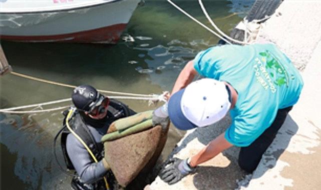 Denizleri Sevenler İçin Çarpıcı Mücadele: Yeni Foça’da Atıklara Karşı Büyük Temizlik ve Farkındalık Serüveni