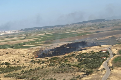 Foça Yangınına Anlık Zafer: Hızlı Müdahale ile Alevler Evlerimize Sırtını Dönüyor