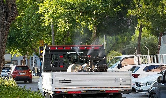 Gaziemir’in Yaz Mücadelesi: Sivrisinek ve Haşerelere Karşı Hızlı, Etkili ve Sürekli İlaçlama Seferberliği