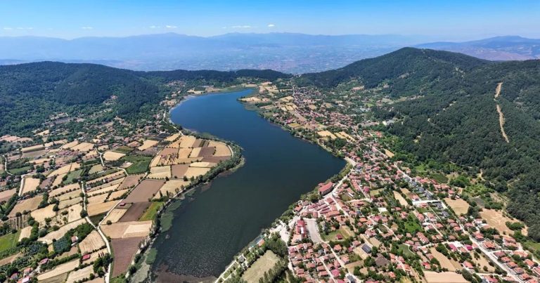 Gölcük Gölü’nde Küresel Uyarı: Marul Tehditine Karşı İzmir’in Temizlik Hamlesi Sürdürüyor